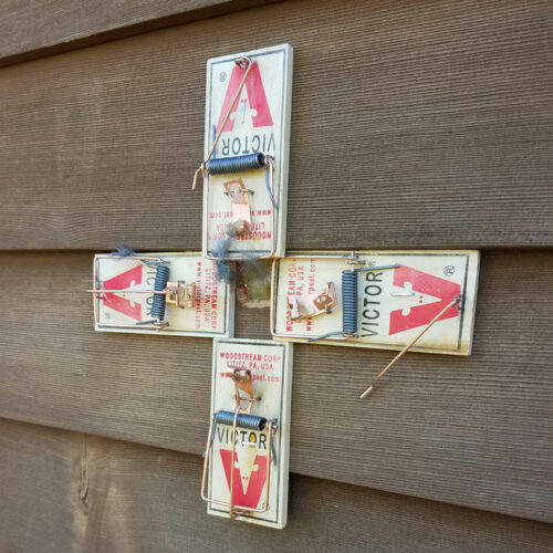 Traps Set At Home Entryway